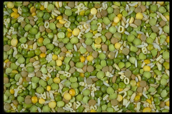 025087 Dried Soup Mix A4 Photo Print