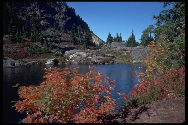026001 Mountain Lake, Orange Foliage A4 Photo Print