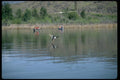 026006 Lake Wapato With Ducks A4 Photo Print