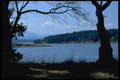 026010 Lake With Trees A4 Photo Print