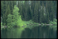 026011 Lake Near Big Trees A4 Photo Print