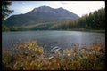026016 Lake White Swan In Fall A4 Photo Print