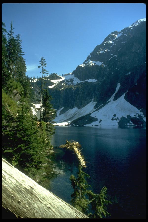 026020 Mountain Lake With Log A4 Photo Print