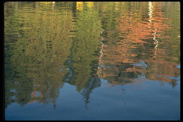 026023 Fall Reflections In Lake A4 Photo Print