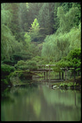 026025 Lake Garden By Bridge A4 Photo Print
