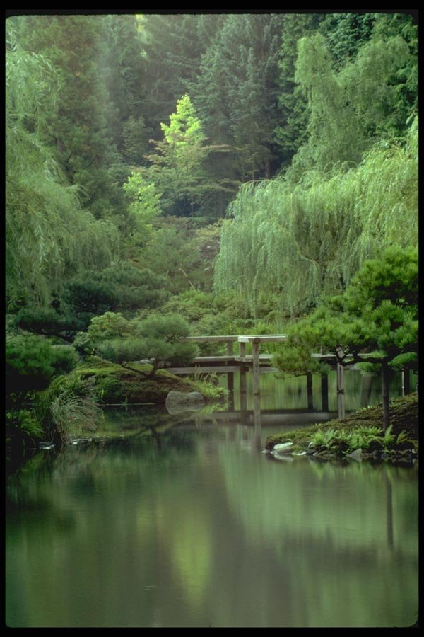 026025 Lake Garden By Bridge A4 Photo Print