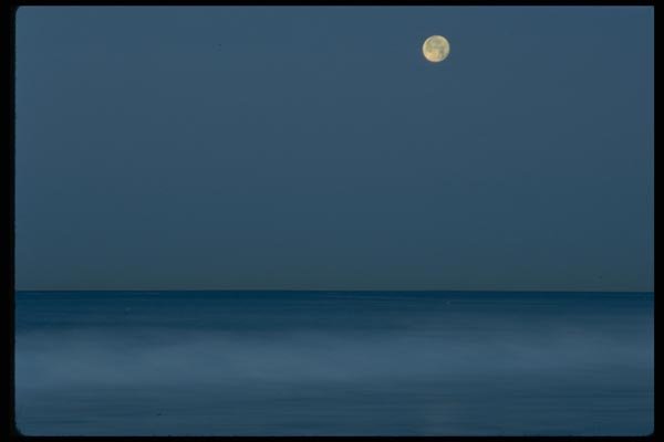 026032 Full Moon Over Calm Ocean A4 Photo Print