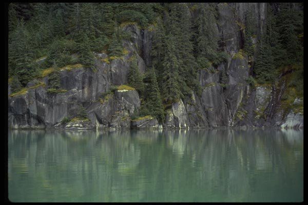 026040 Trees On Steep Rock, Green Water A4 Photo Print