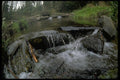 026045 Stream Falling Over Rocks Close Up  A4 Photo Print
