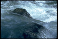 026047 Churning Rapids Close Up  A4 Photo Print