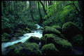 026059 Mossy Boulders, Mountain Creek A4 Photo Print