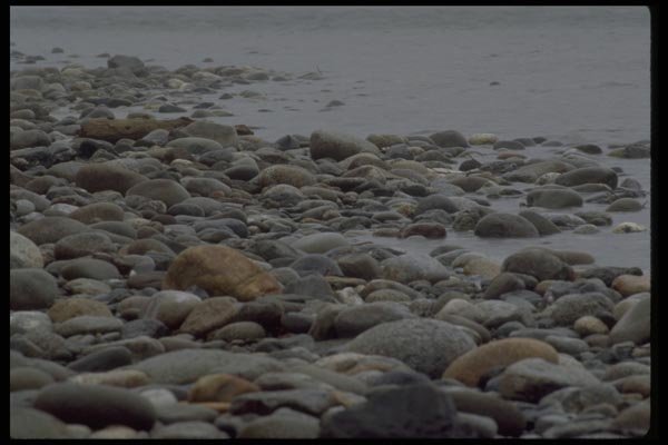 026061 Rounded Rocks At Water's Edge A4 Photo Print