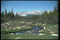 026066 Mountain Stream Through Boulder Field A4 Photo Print