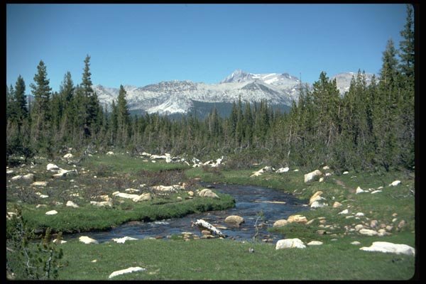 026066 Mountain Stream Through Boulder Field A4 Photo Print