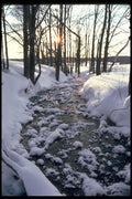 026067 Snow On Creek A4 Photo Print