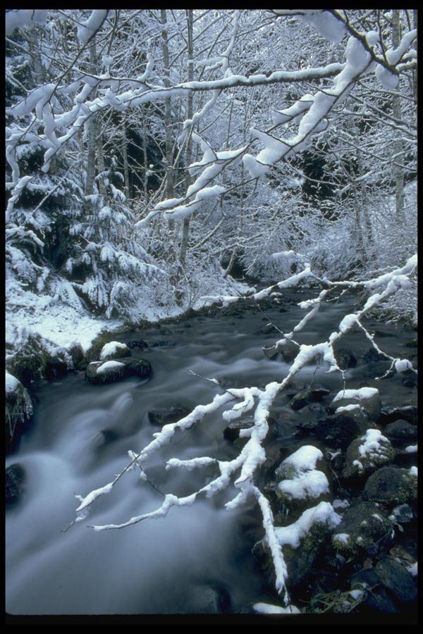 026069 Rushing Water In Winter A4 Photo Print