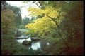 026070 Japanese Garden By Stream A4 Photo Print