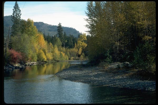 026071 Fall Colors At Riverbank A4 Photo Print