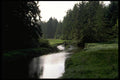 026078 River With Grassy Banks A4 Photo Print