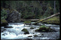 026081 Logs Over Mountain A4 Photo Print