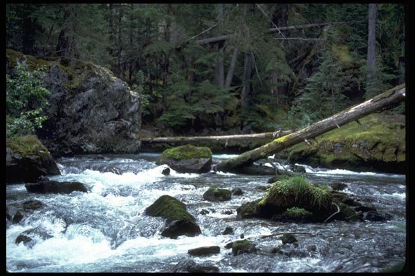 026081 Logs Over Mountain A4 Photo Print