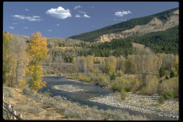 026087 Trees In Fall Colors On Riverbank A4 Photo Print