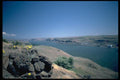 026092 Buckwheat Flower Over Columbia River A4 Photo Print
