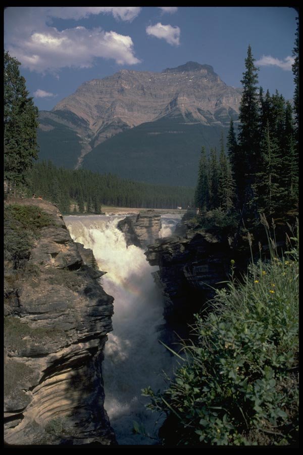 027000 Athabaska Falls, B.C. A4 Photo Print