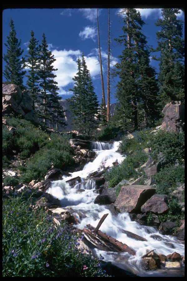 027006 Sunny Mountain Stream A4 Photo Print
