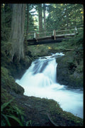 027011 Footbridge Over Cascading Stream A4 Photo Print