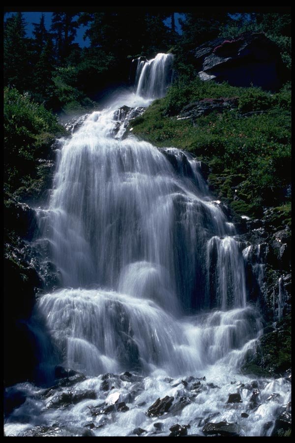 027020 Cascading Stream And Wildflowers A4 Photo Print