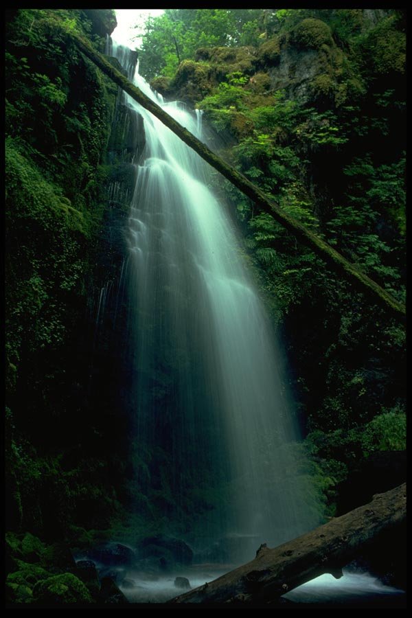 027023 Waterfall Framed By Downed Logs A4 Photo Print