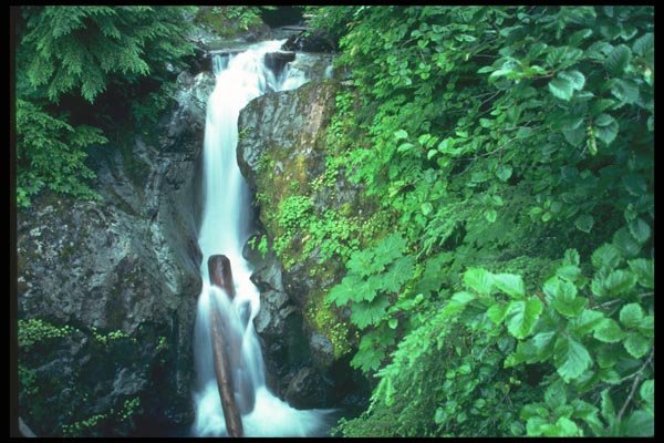 027039 Mountain Stream Waterfall A4 Photo Print