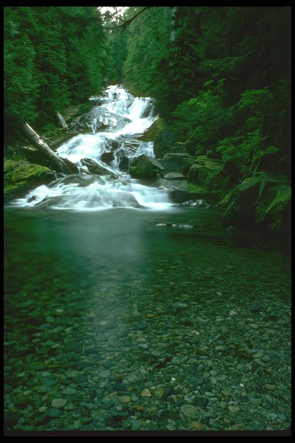 027041 Falls On Carbon River A4 Photo Print