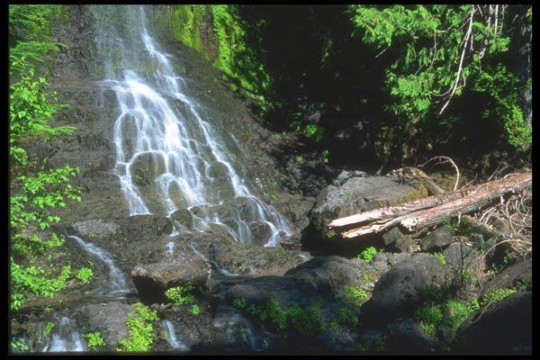 027046 Serene Stream Waterfall A4 Photo Print