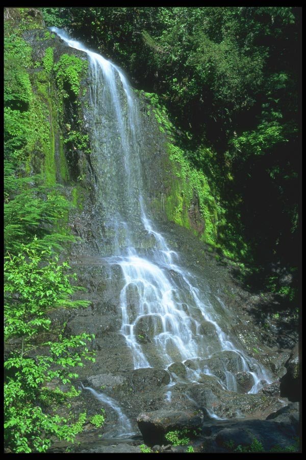 027058 Stream Waterfall A4 Photo Print