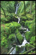 027065 Mossy Stream Waterfall A4 Photo Print