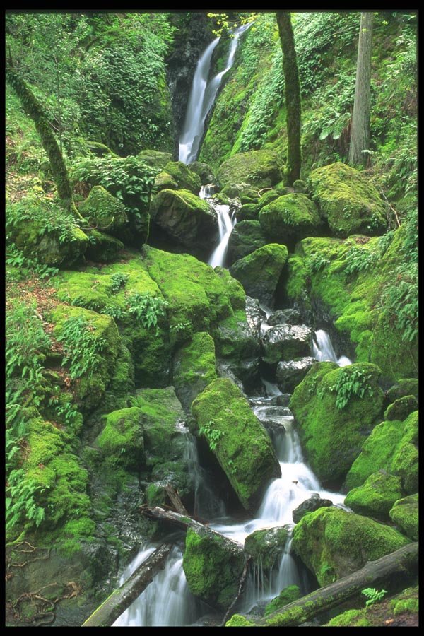027065 Mossy Stream Waterfall A4 Photo Print