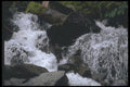 027070 Close Up Of Swift Stream Waterfall A4 Photo Print