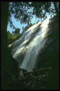027079 Waterfall From Beneath Large Tree A4 Photo Print