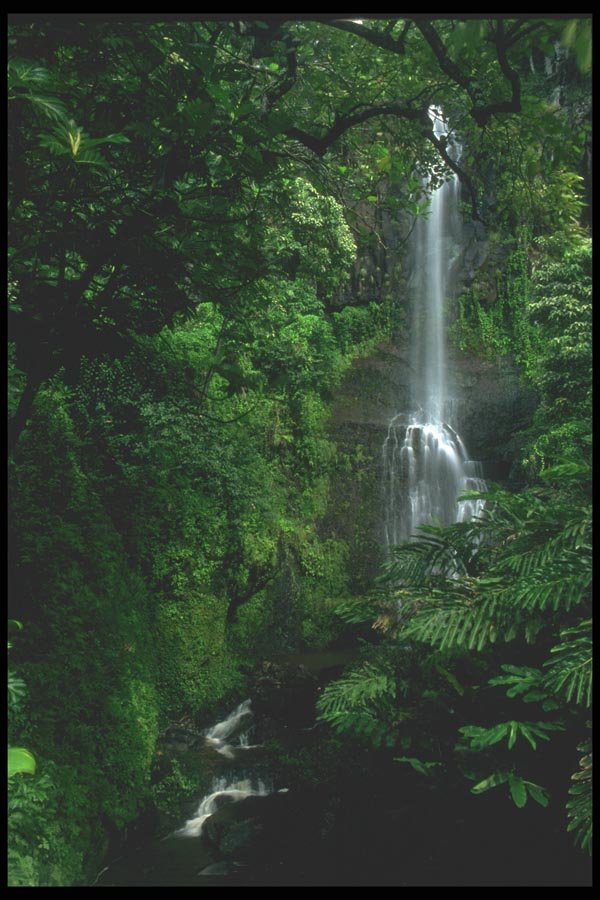 027088 Waterfall In The Jungle A4 Photo Print