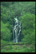 027094 Waterfall In Forest A4 Photo Print