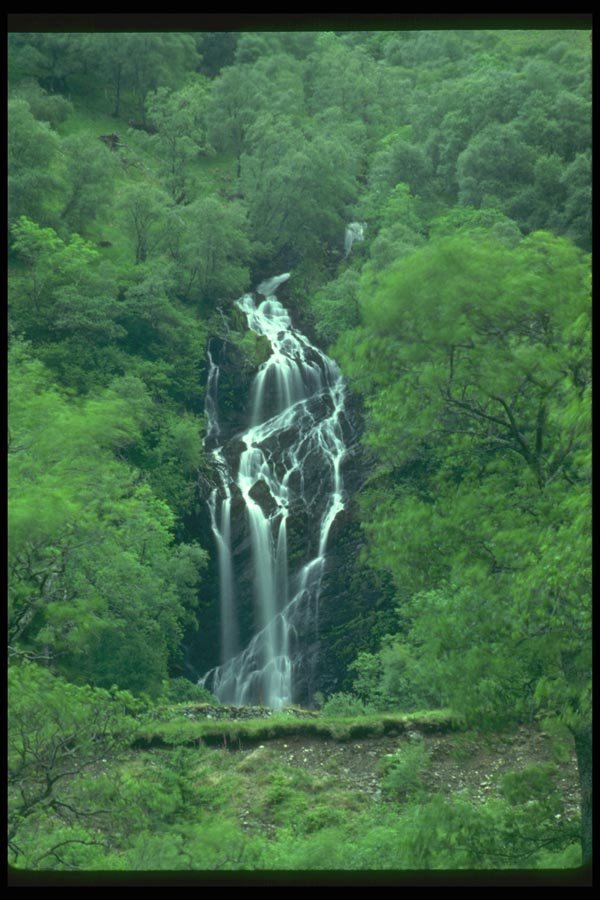 027094 Waterfall In Forest A4 Photo Print