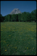028002 Rocky Peak Over Dandelion Field A4 Photo Print