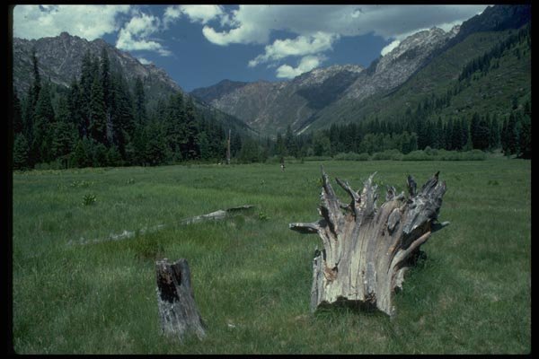 028003 Hikers In Mountain Meadow A4 Photo Print