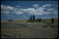 028005 Old Barn, Dry Flat Land A4 Photo Print
