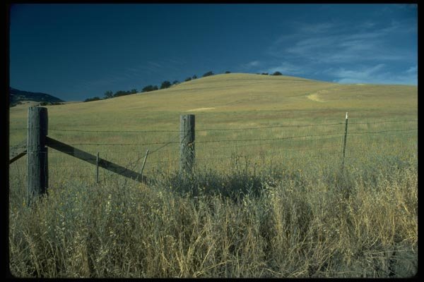 028006 Fenced Yellow Rolling Hill A4 Photo Print