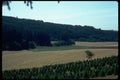 028007 Furrowed Valley, Fir Trees A4 Photo Print