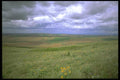 028008 Wheat Fields In The Distance A4 Photo Print
