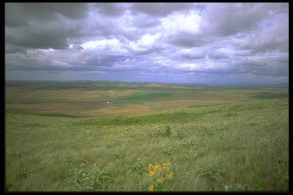 028008 Wheat Fields In The Distance A4 Photo Print